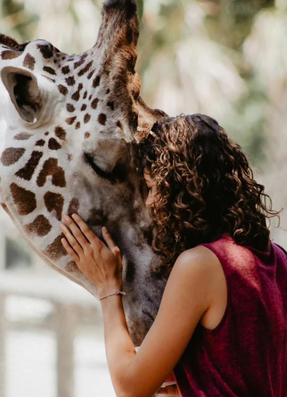 Kinderboerderij Boerenvreugd, a woman hugging the giraffe